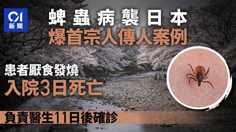 蜱蟲病｜日本爆當地首宗人傳人案例 患者入院3日死亡 醫生中招