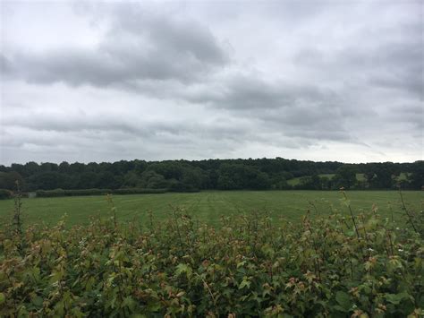 Denton Wood – Mark Avery