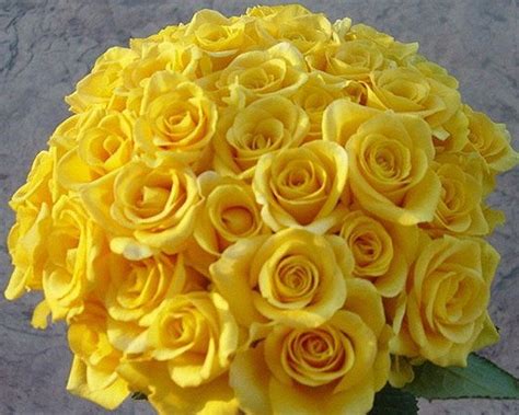 Bouquet Bridal Yellow Roses Bridal Bouquet