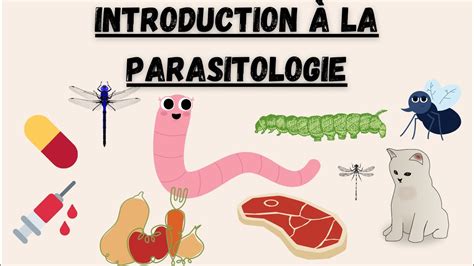 introduction à la parasitologie by Nélma YouTube