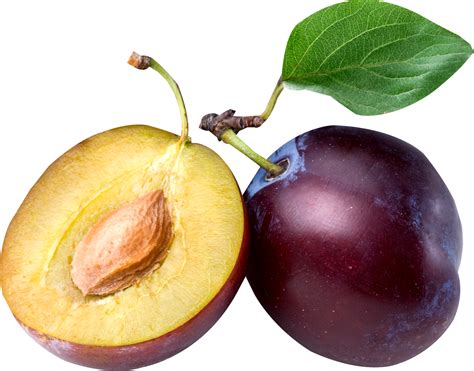 Plum Png Image Transparent Image Download Size 1528x1199px