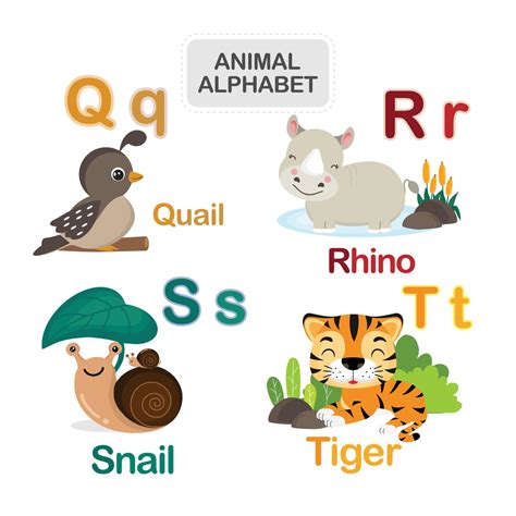 cute animal q 3