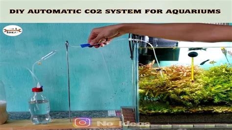 How To Introduce CO2 Into Aquarium DIY Aquarium Guide For Beginner