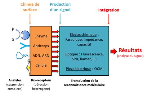 Bio Capteurs Unit Recherches Et D Veloppements Technologiques