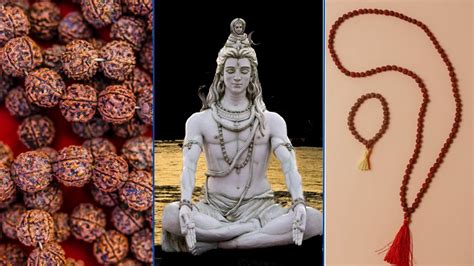 Maha Shivratri 2024 भगवान शिव को क्यों प्रिय है रुद्राक्ष जानिए इसका