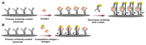 Schematic Illustration For The General Immunosensor Formats A