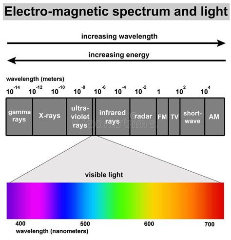 The Electromagnetic Spectrum Vector Diagram Stock Vector Illustration