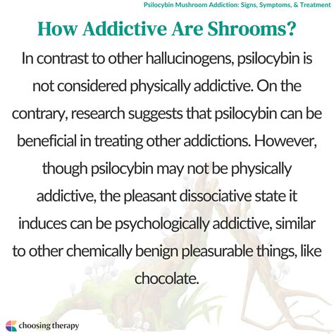 Are Mushrooms Addictive A Guide To Psilocybin Addiction