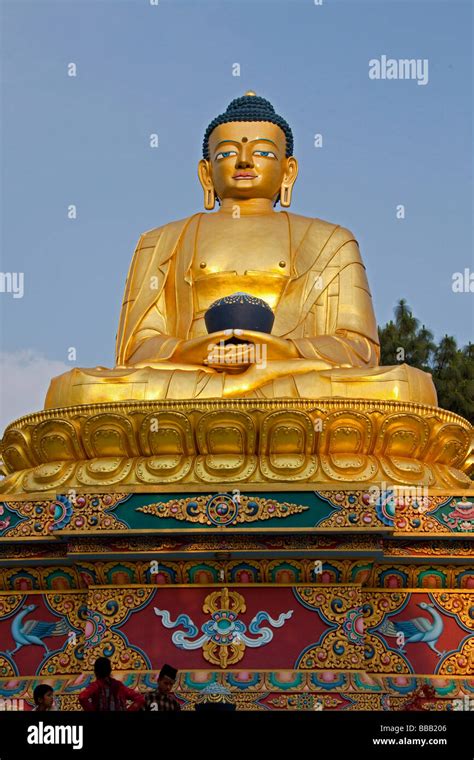 Large Gold Statue Of Buddha Kathmandu Temple Nepal Asia Nepal