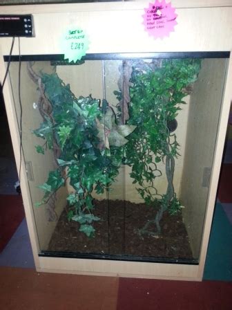 Se England Arboreal Vivarium Reptile Forums