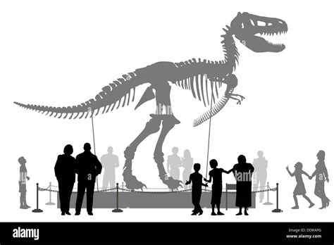 Dinosaurio Esqueleto Im Genes Recortadas De Stock Alamy