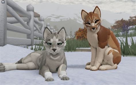 Two Cats Sitting Next To Each Other In The Snow