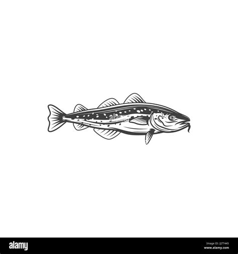 Horse Mackerel With Flounders Mackerel Fishing Sport Emblem Isolated