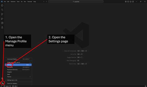 Setting up a Visual Studio (VS) Code development environment for