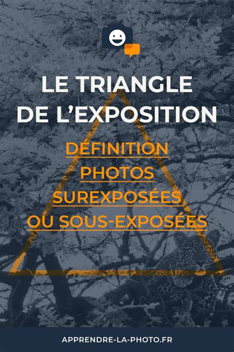 L Exposition En Photo Comprendre Le Triangle Artofit