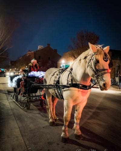 Local Happenings Movie In The Park Carriage Rides Paws Parade