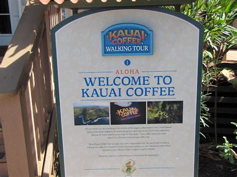 Kauai Coffee Plantation