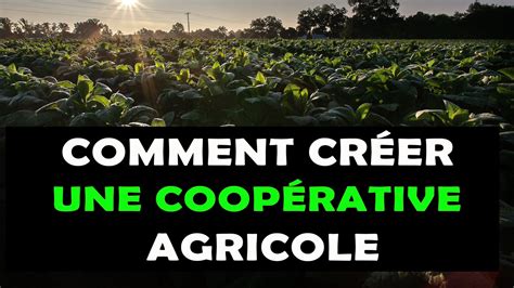 COMMENT CRÉER UNE COOPÉRATIVE AGRICOLE YouTube