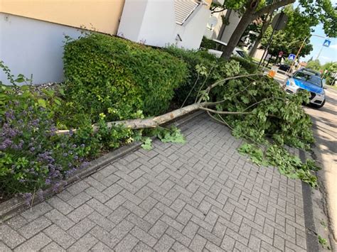 Ast In Landau Abgebrochen Albrecht D Rer Stra E Blockiert Landau