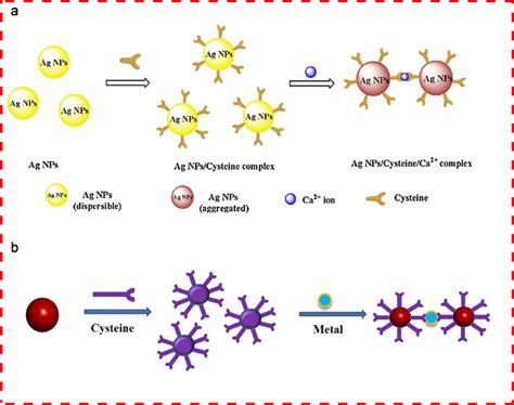 Schematic Illustration Of The Strategy For Cysteine Detection Using A