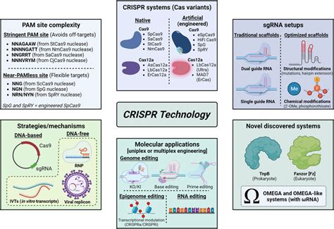 Panorama Of Crispr Cas And Crispr Like Systems Strategies