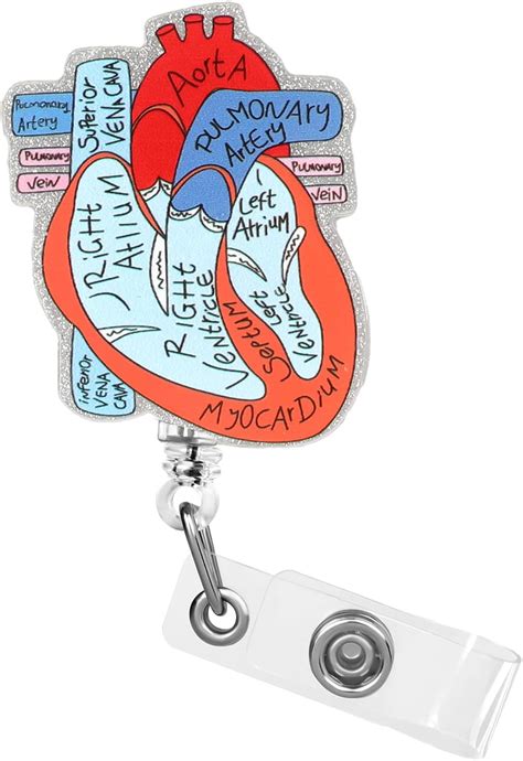 Amazon Dimeho Cardiac Badge Holder Heart Retractable Reel Id Card