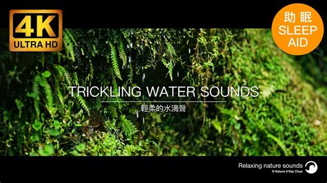 Trickling Water Sounds The Soothing Sound Of Trickling Water Helps