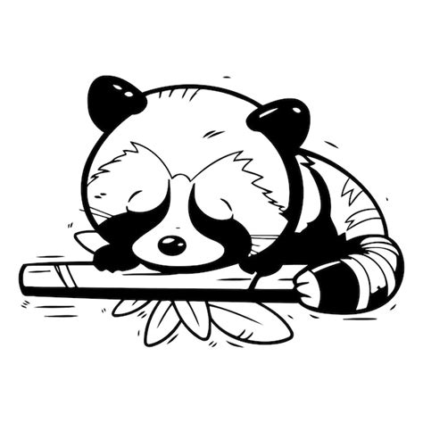 Lindo Panda Rojo De Dibujos Animados Durmiendo En Una Rama Ilustraci N