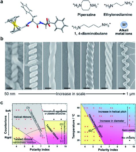 Hierarchical And Chiral Nanostructures With Varied Forms Using A