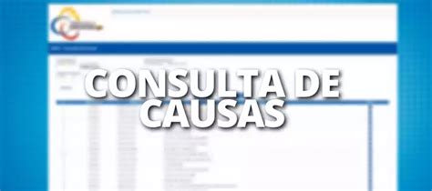 Consulta De Causas Registro Civil Ecuador