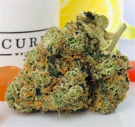 Sour Lemon by Curio - Maryland Cannabis Reviews