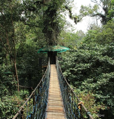 Panduan Cerdas Eksplor Taman Nasional Gunung Halimun Salak