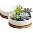 Zoutog Succulent Pots White Mini Inch Ceramic Flower Planter Pot