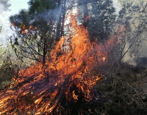 Tepoztlán Las Impactantes Imágenes Del Incendio Que Ya Consumió 50 Hectáreas En El Tepozteco