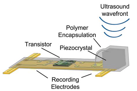 Sprinkling Of Neural Dust Opens Door To Electroceuticals Berkeley News