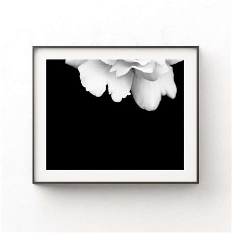 Black and White Flower Wall Art Floral Home Decor White Rose Petal ...