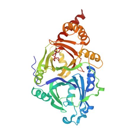 Rcsb Pdb X H Crystal Structure Of Athppd Usnic Acid Complex