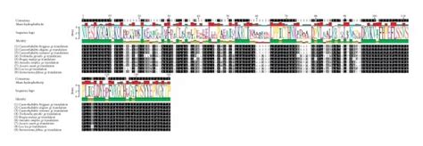 Multiple alignment of predicted partial deduced amino acid sequences of ...