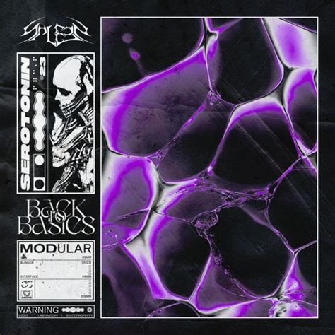 Stream Spleen Back To Basics Free Dl By Spleen Listen Online For