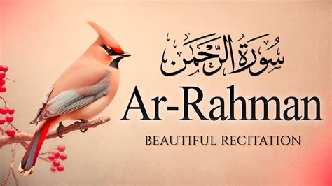 Most Sweet And Beautiful Recitation Of Surah Ar Rahman سورة الرحمن