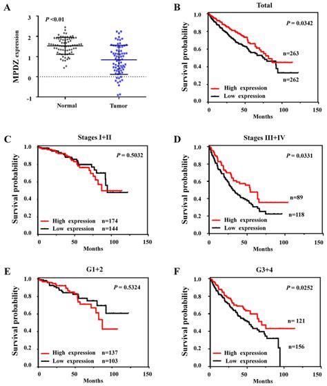 Expression Patterns Of Mpdz In Ccrcc And Its Clinical Significance In