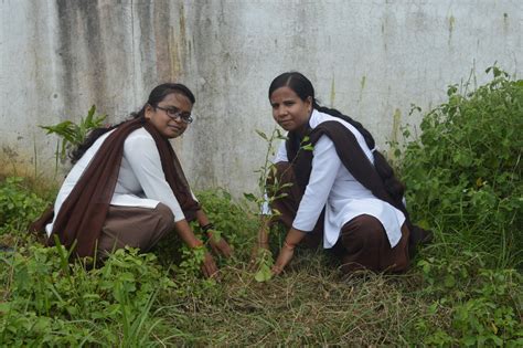 Official Website Mahabodhi Mahavidyalaya Nalanda