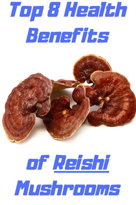 Top 8 Health Benefits of Reishi Mushrooms- Medicinal Mushroom 101