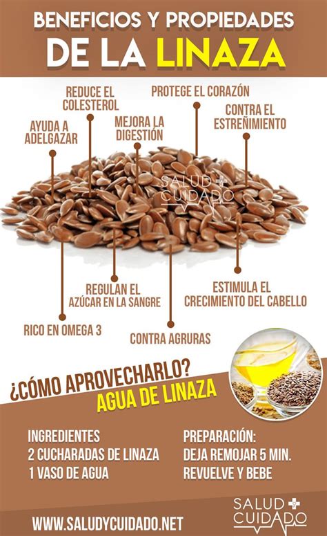 BENEFICIOS PROPIEDADES Y USOS DE LA LINAZA PARA LA SALUD Y LA BELLEZA