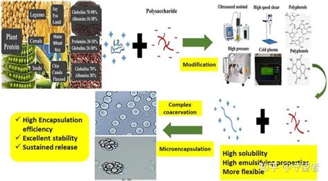 Food Hydrocolloids