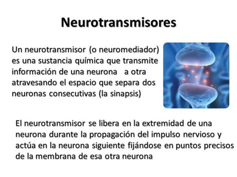 Tipos De Neurotransmisores Más Importantes Resumen Esquemas