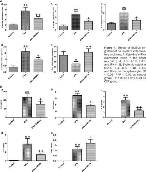 Figure 4 From Bone Marrow Derived Mesenchymal Stem Cells Reduce Immune