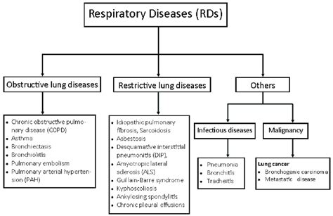 Group Of Respiratory Diseases Rds Adapted With Permission From Kritek