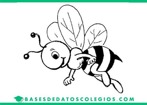 ≫ Dibujos De Abejas Para Colorear