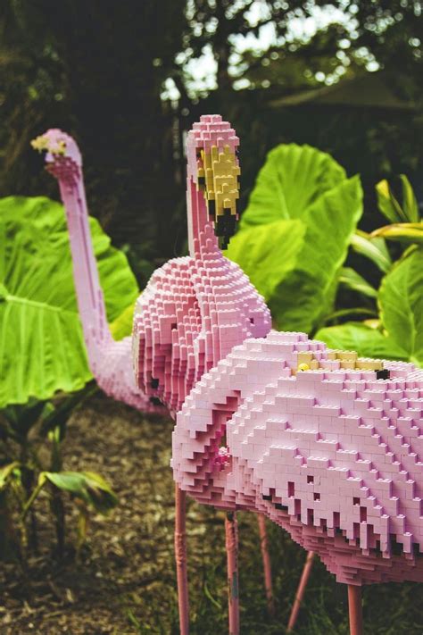 A Refinaria: Flamingo de Lego